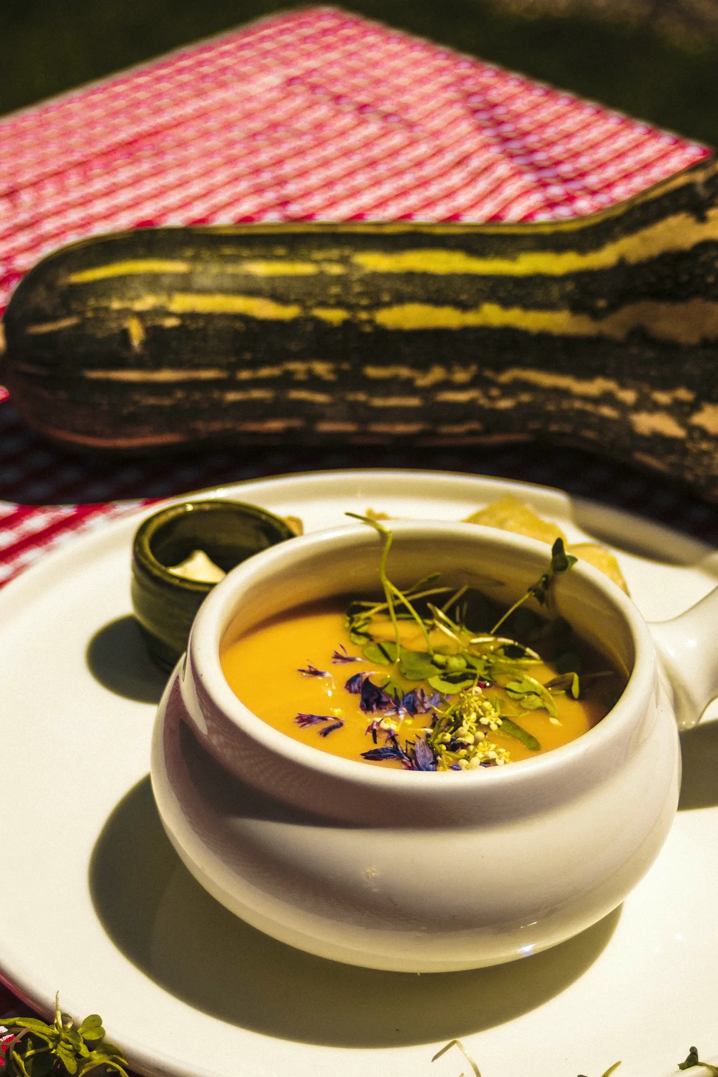 Crema de zapallo silvestre ahumado con jengibre