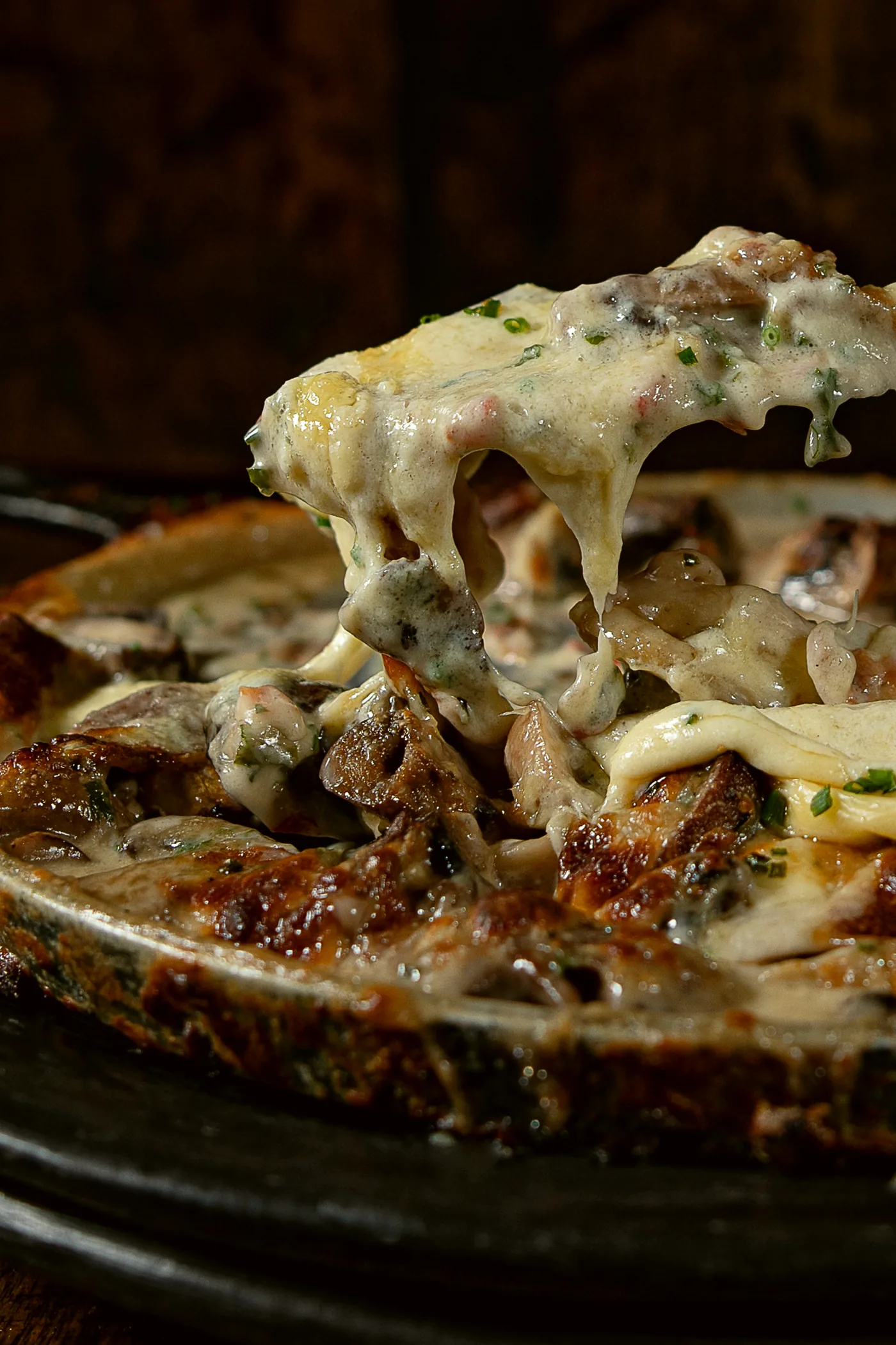 Festival Fungi gratinado en quesos con salsa de blue cheese